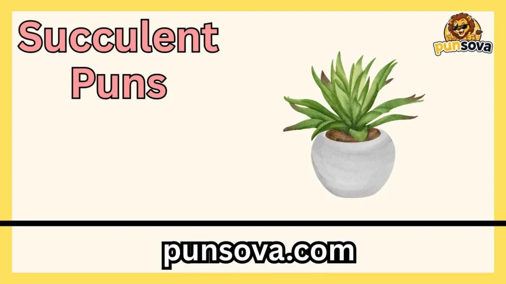 Best Succulent Puns