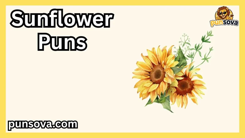 Best Sunflower Puns