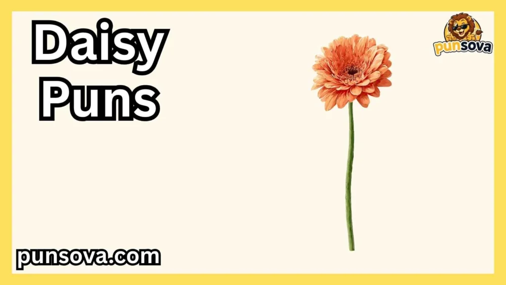Clever Daisy Puns