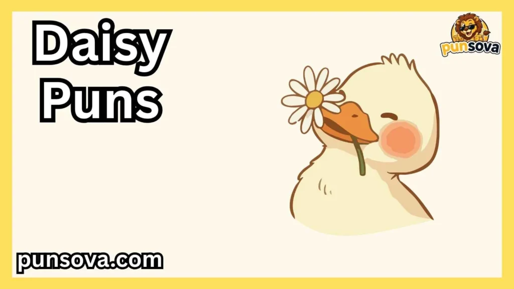 Cute Daisy Puns