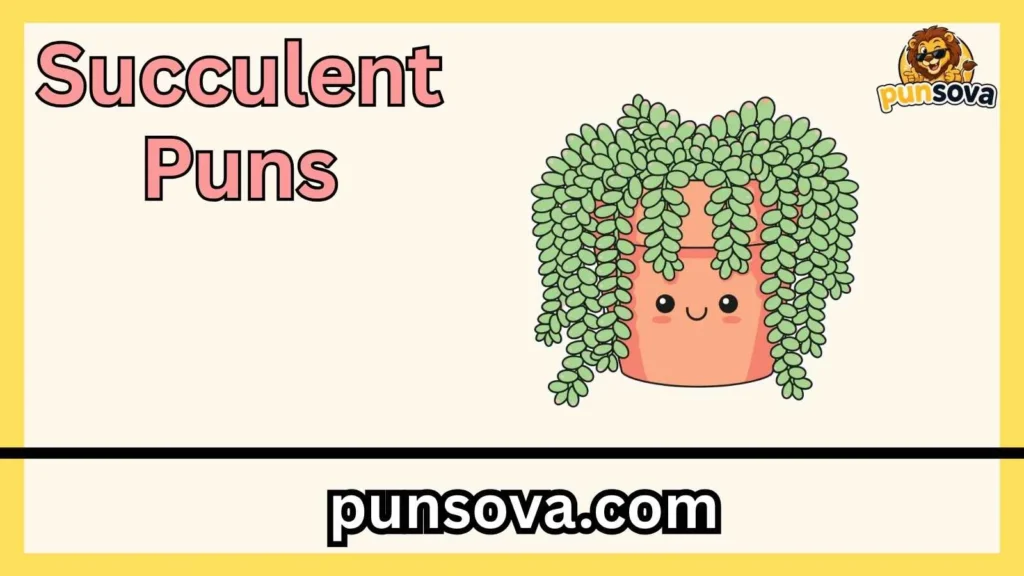 Cute Succulent Puns