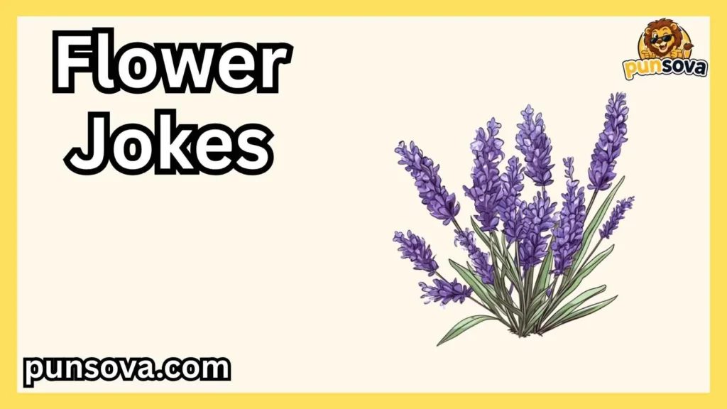 Lavender Jokes