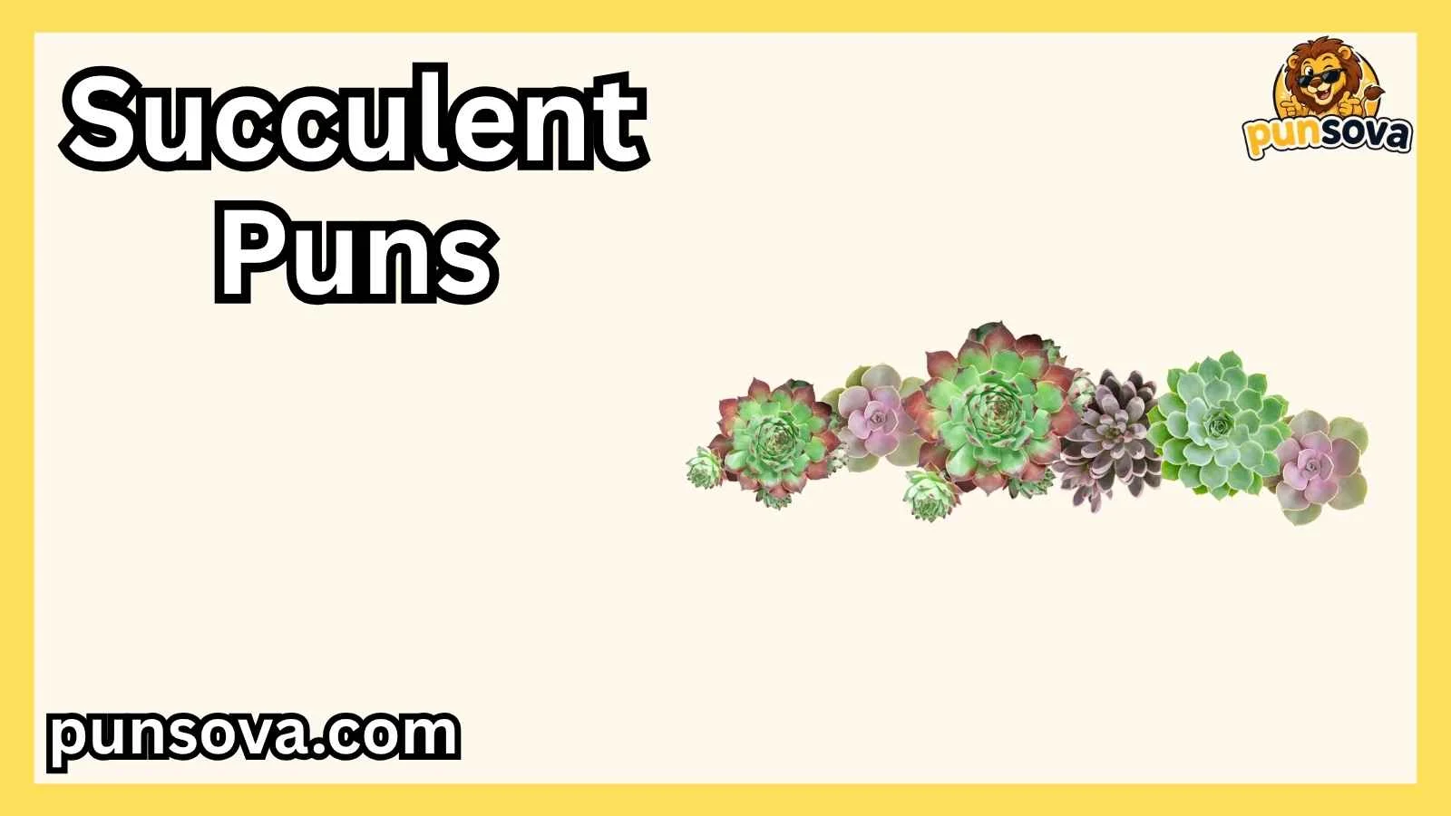 Succulent Puns